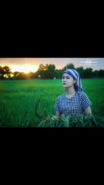 @Shwe Nyar Myay Travel & Tour