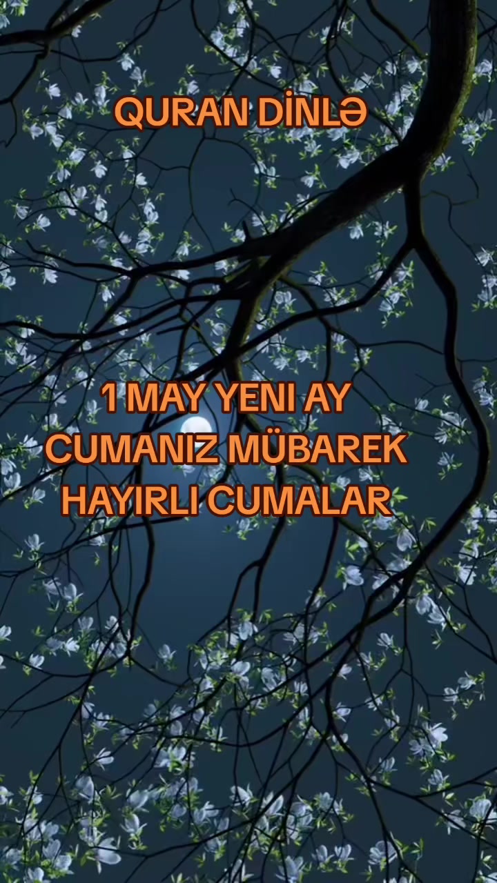 @QOCA_CANAVAR_YALQIZAQ