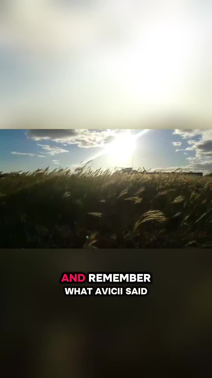 @djam87🇺🇸🇯🇲