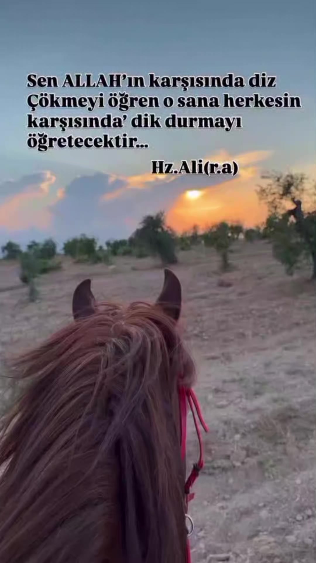 @Kur'an_ayet_hadis_ve_duâ