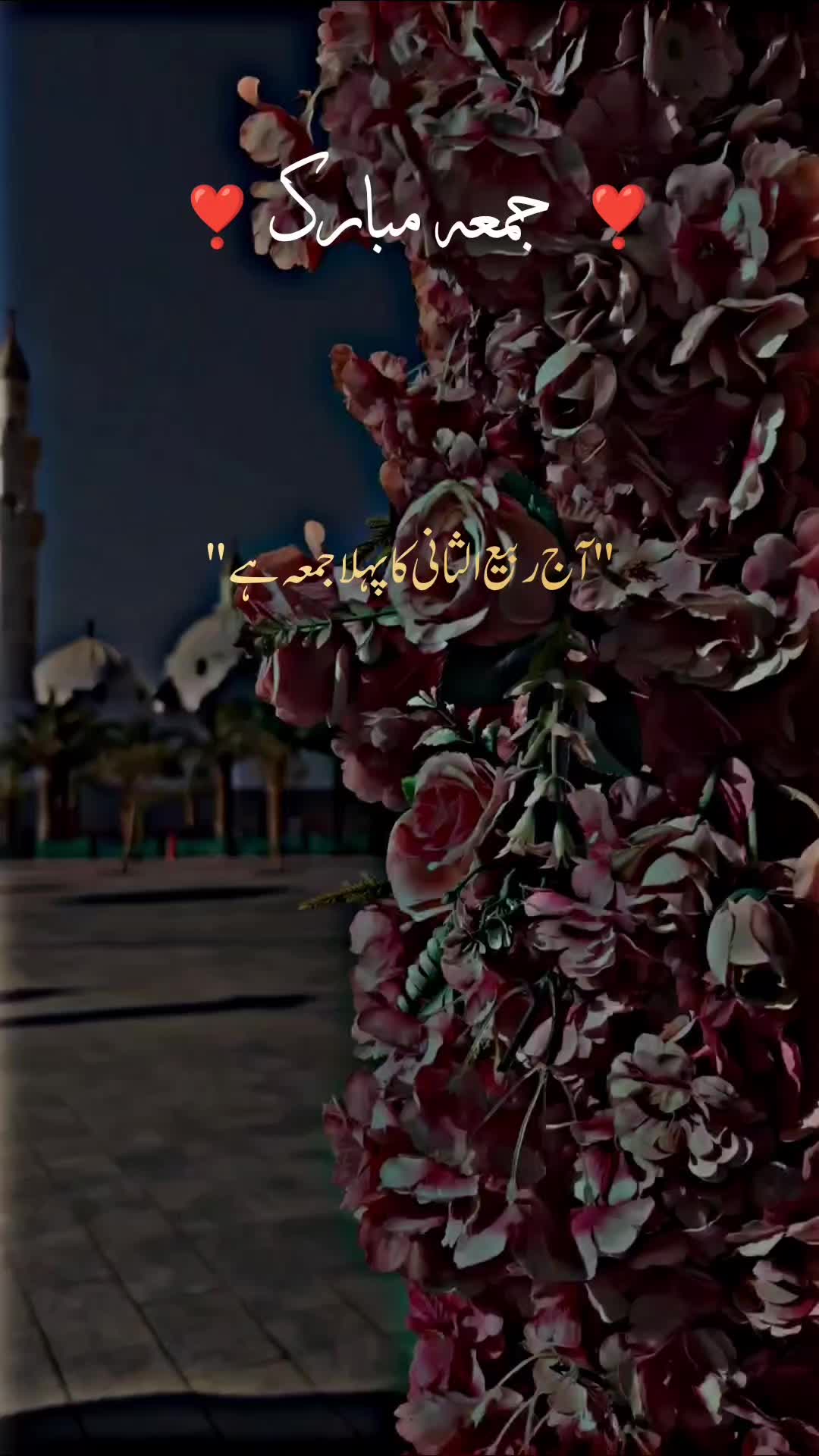 @👉Moosa👈