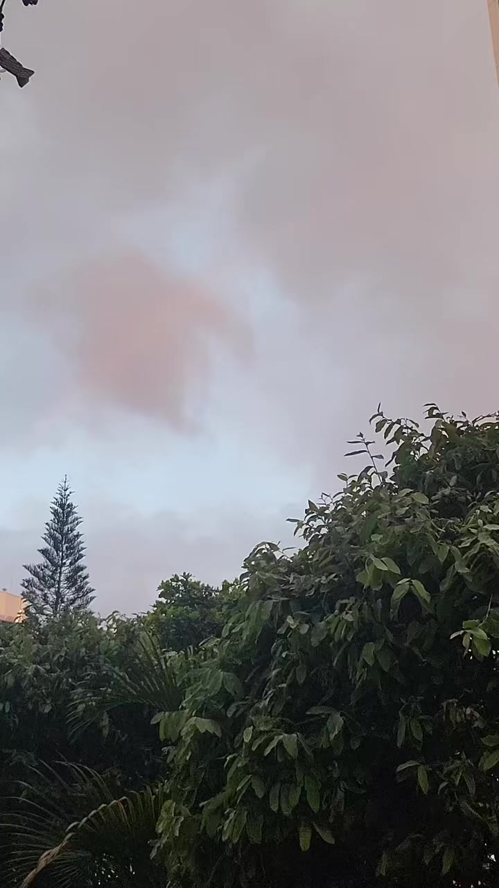 @Hija del Dueño
