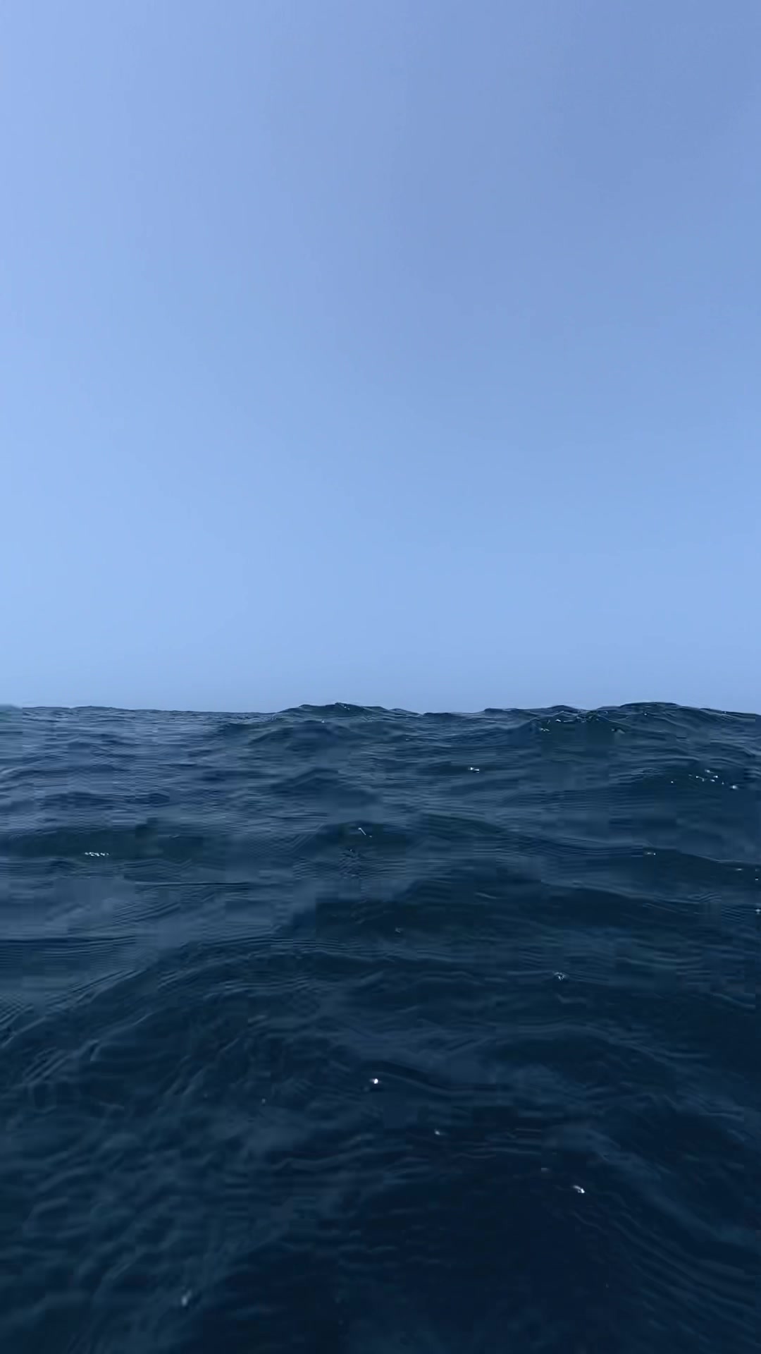 @غواص حر