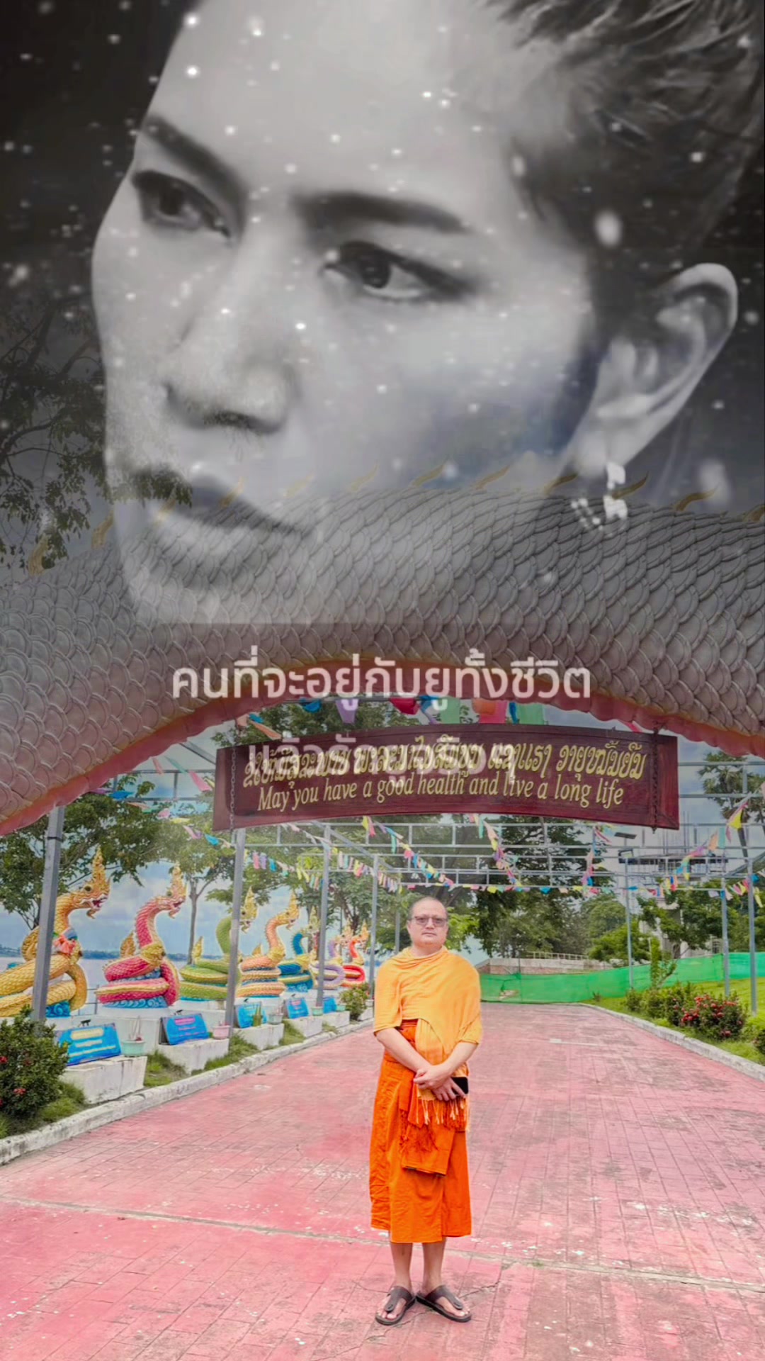 @สิบสองปันนา