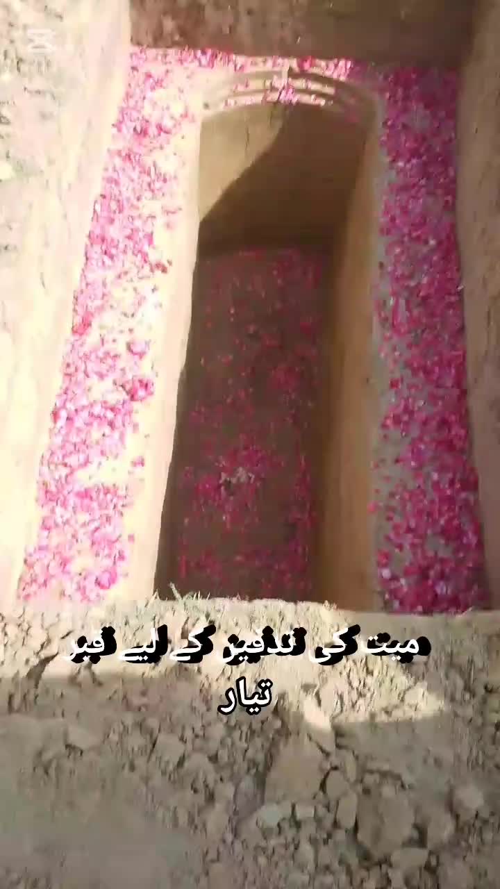 @islammayyo