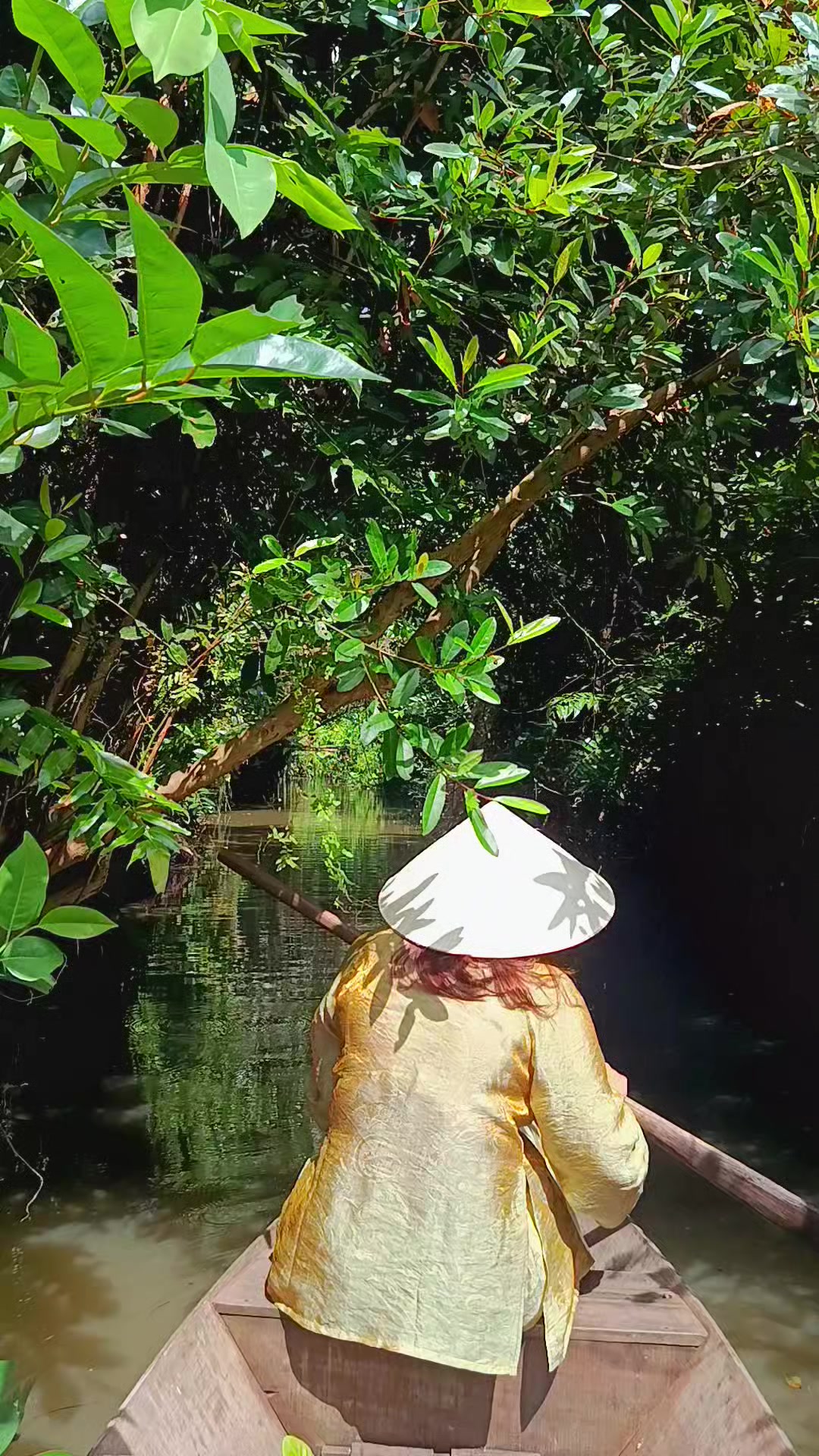 @Nhà Xe Tấn Tài An Giang