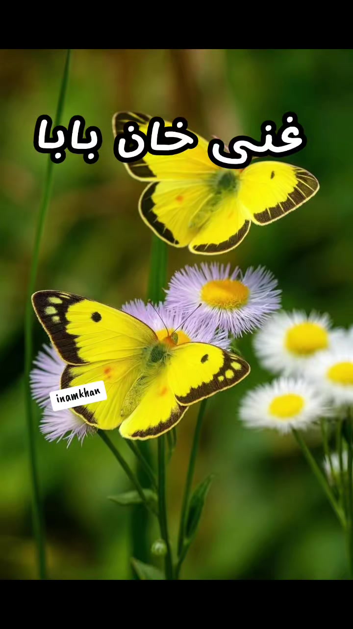 @ENAAM KHAN🤲✨️
