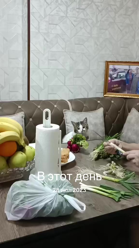 @Anora 🌹🌹 Alimbayeva