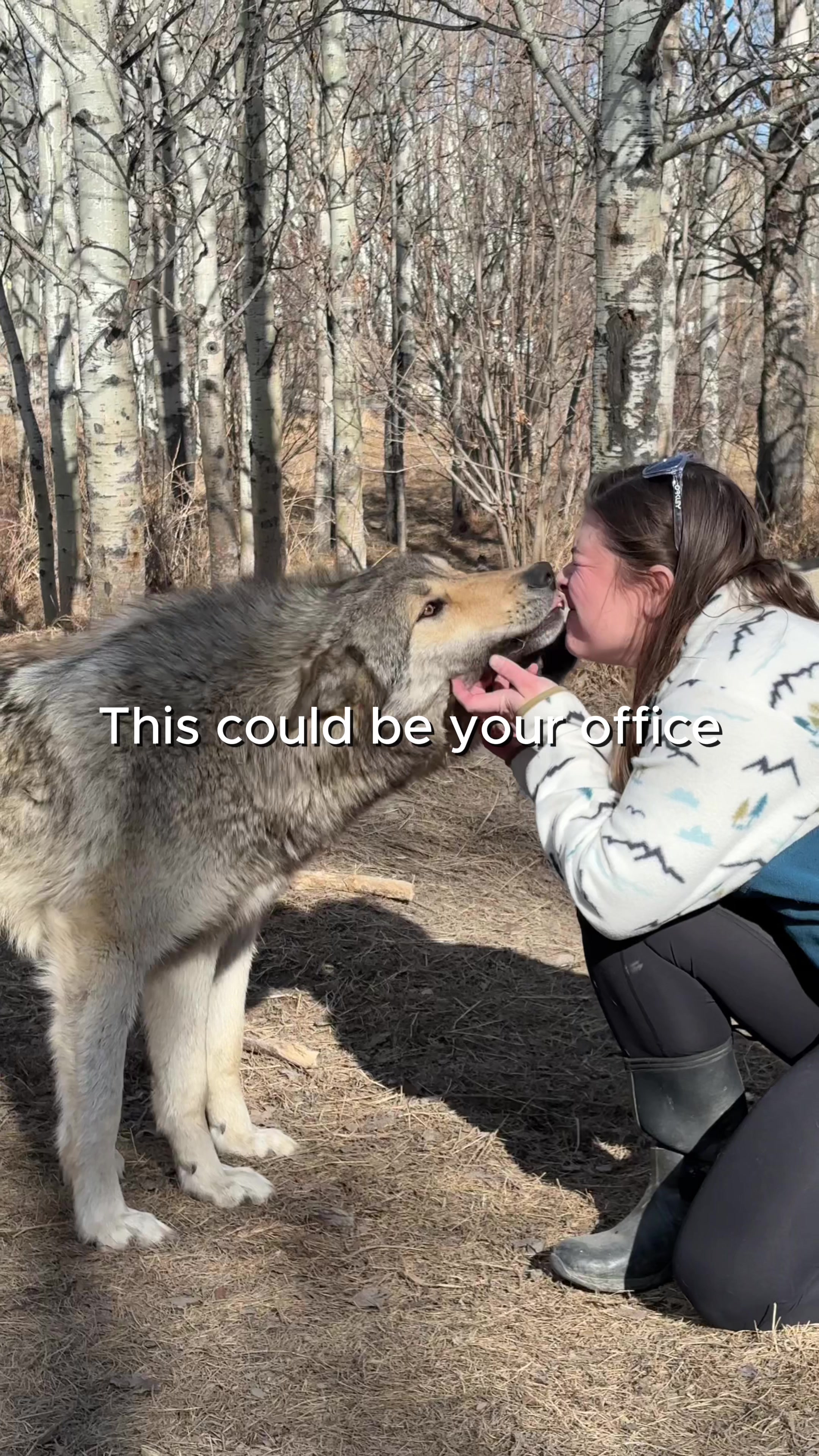 @Yamnuska Wolfdog Sanctuary