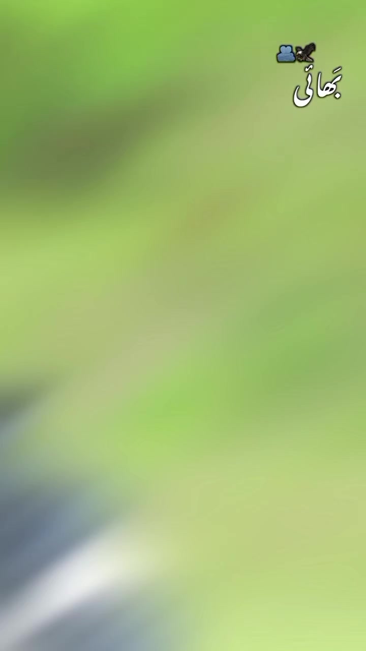 @█▬█ █ ▀█▀ 𒆜 ⓿❼☠︎︎