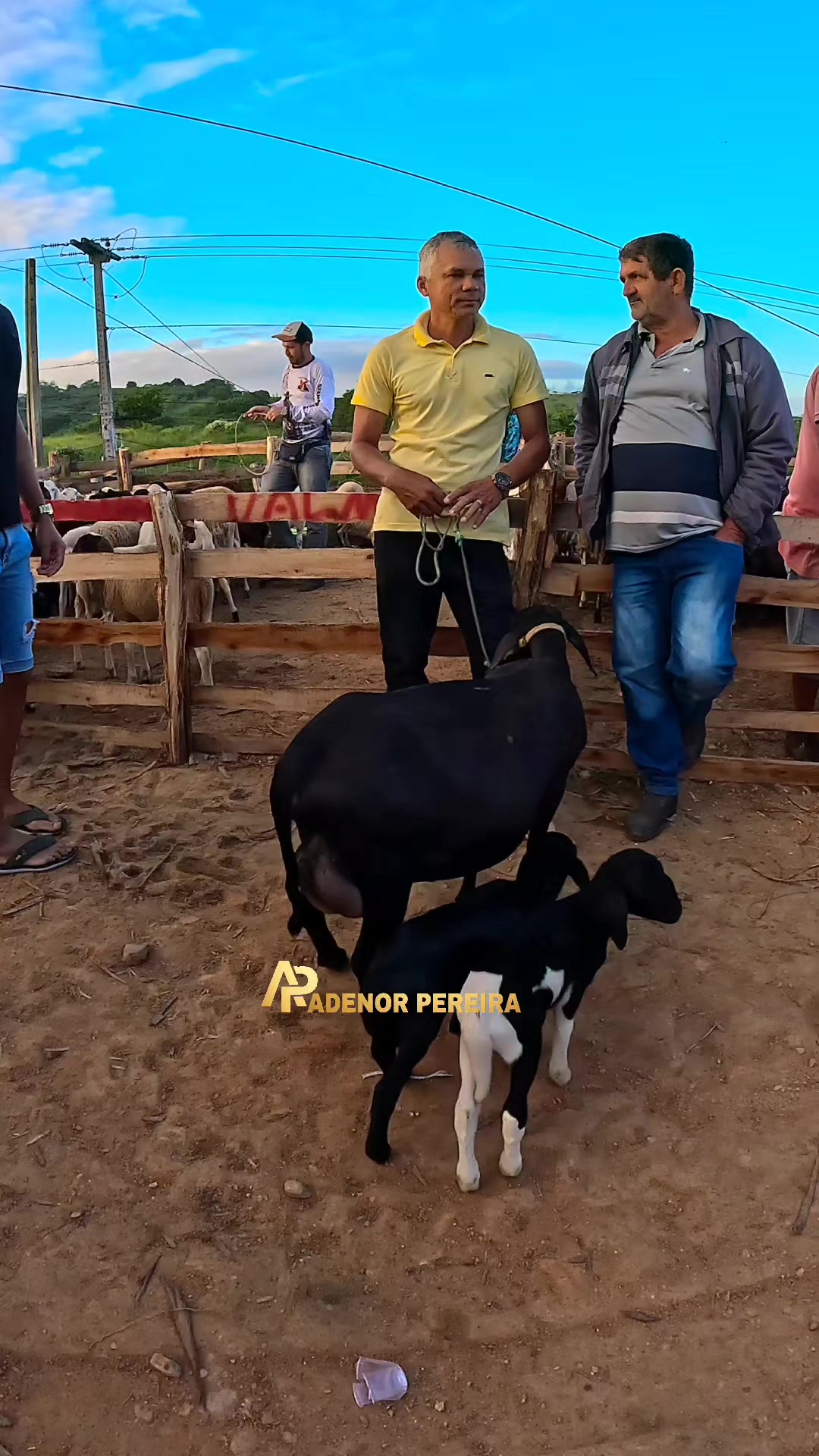 @adenor_pereira