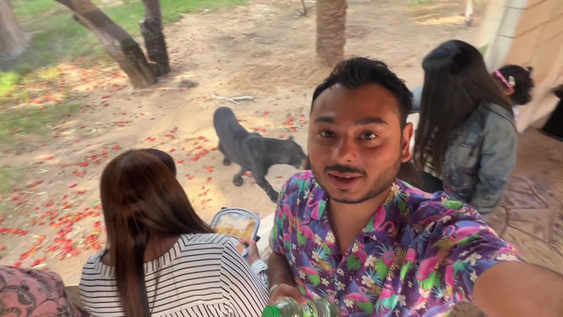 @jimmy_junaid_zoologist