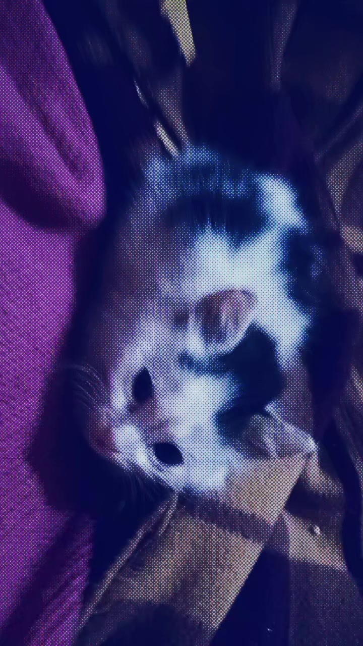 @chumbi_gdne🇦🇷