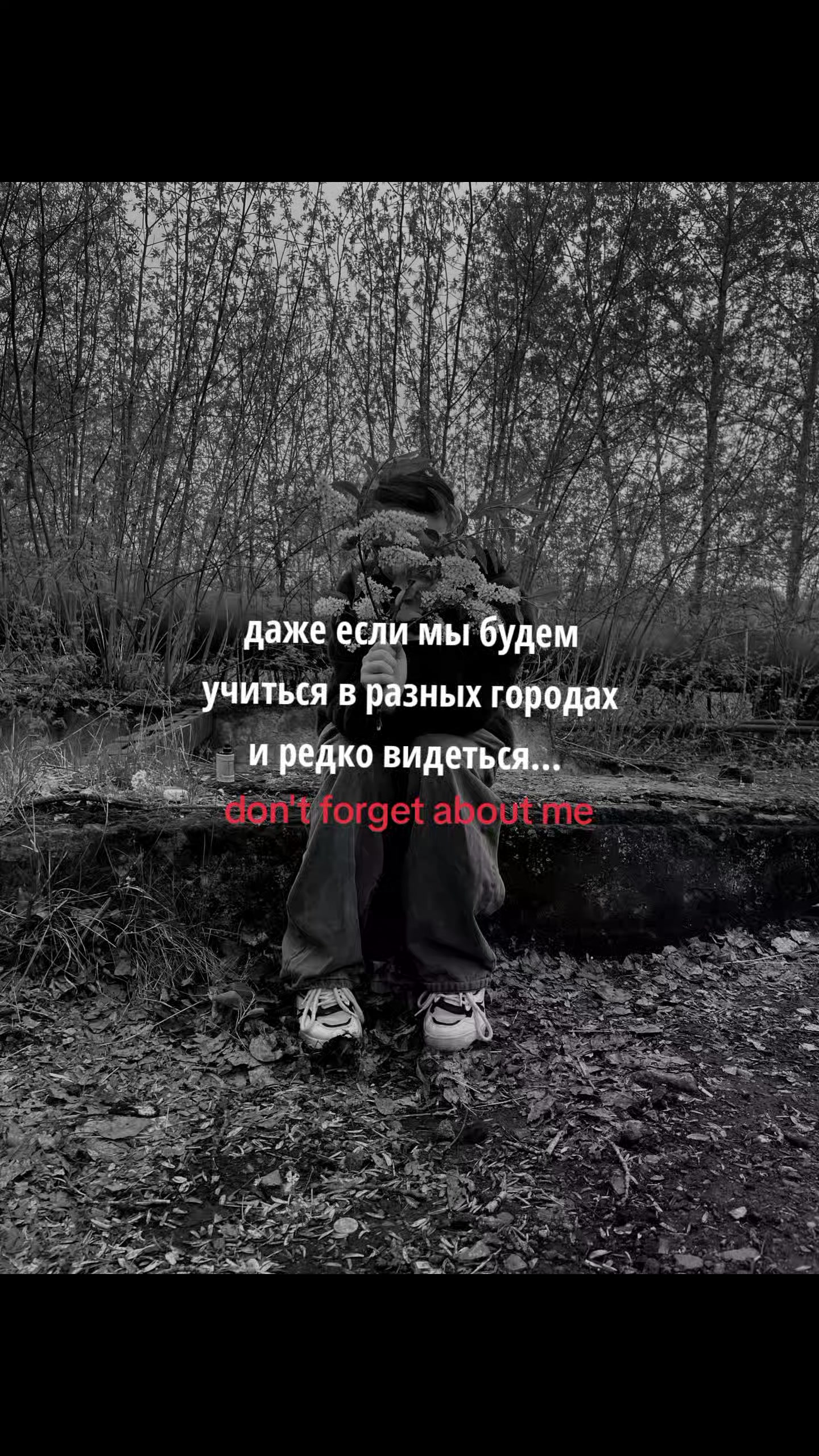 @вау﹆