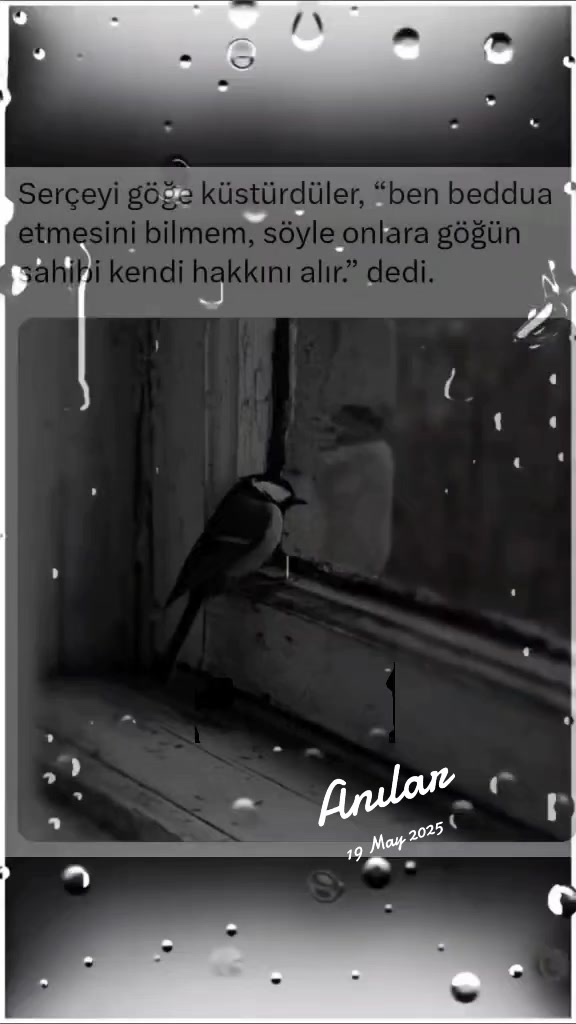 @AHDE☝️VEFA🕊🌹