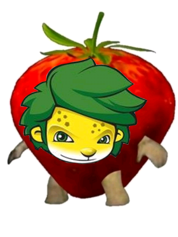 @⚽⋆. 𐙚 ˚z&alpha;к&upsilon;м&iota;𝜚˚⋆🐆