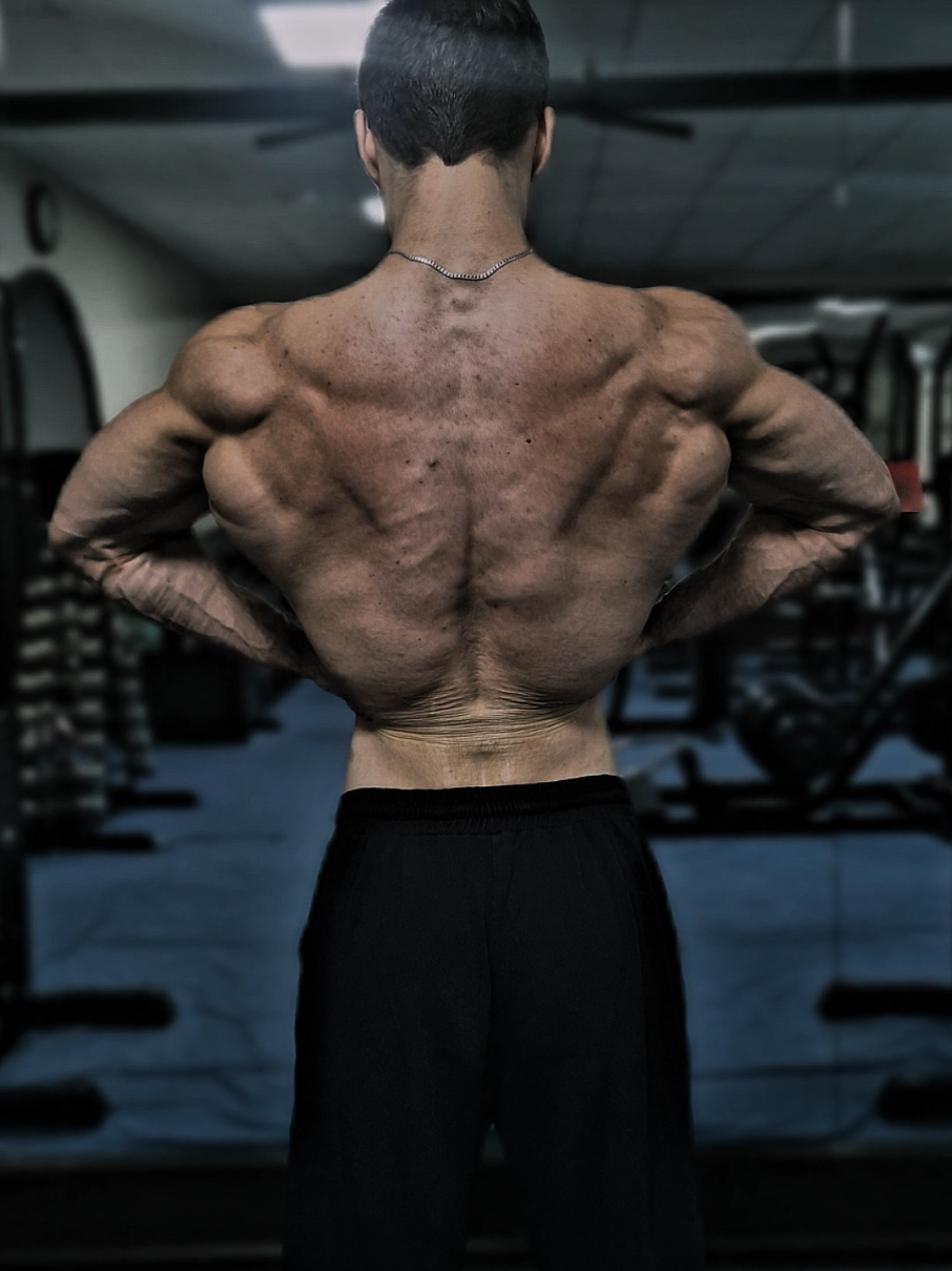 @Muscle_armour