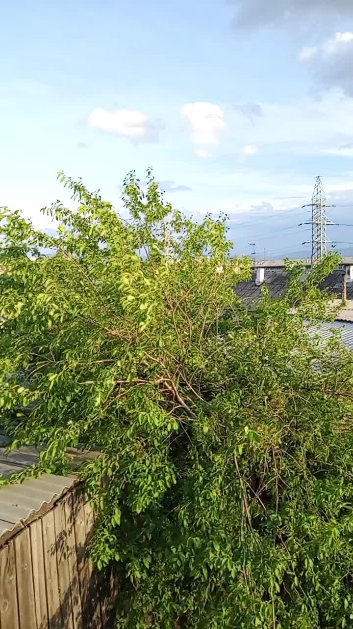 @кульный