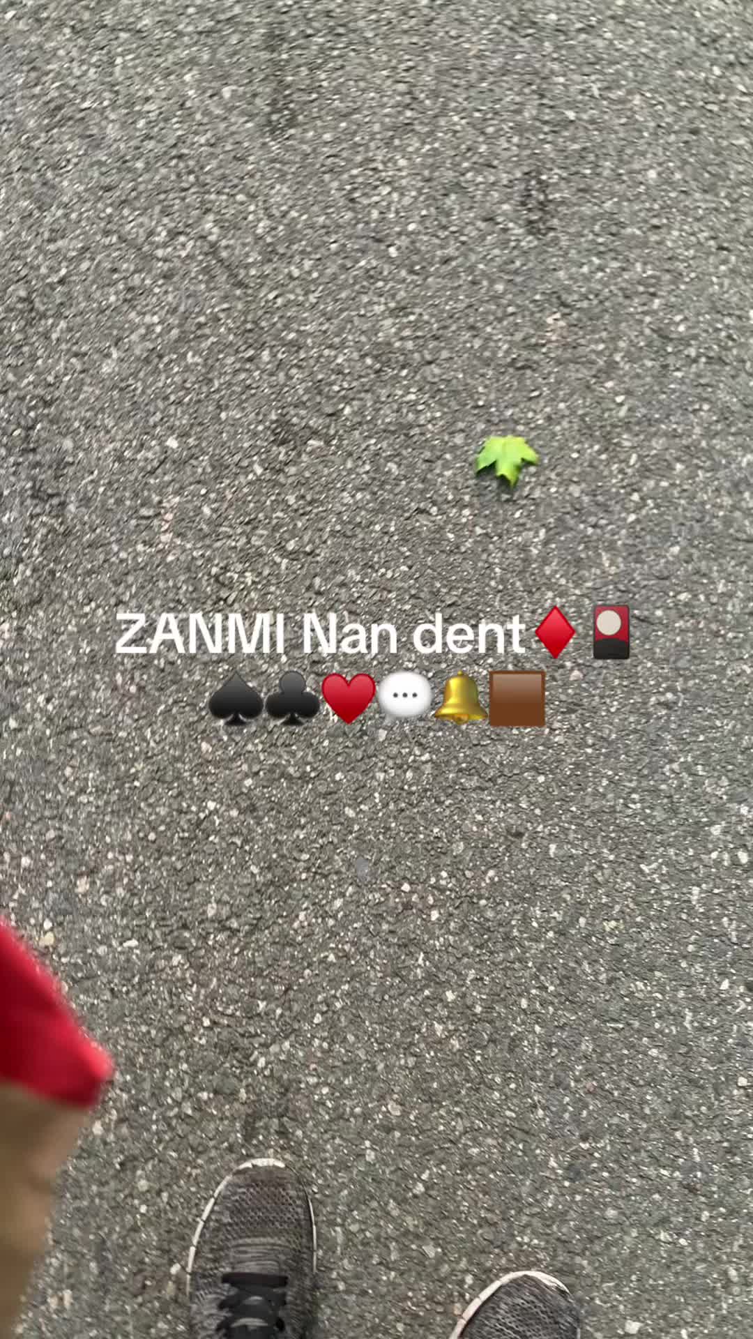 @Neite@Decimus.Papillonvert