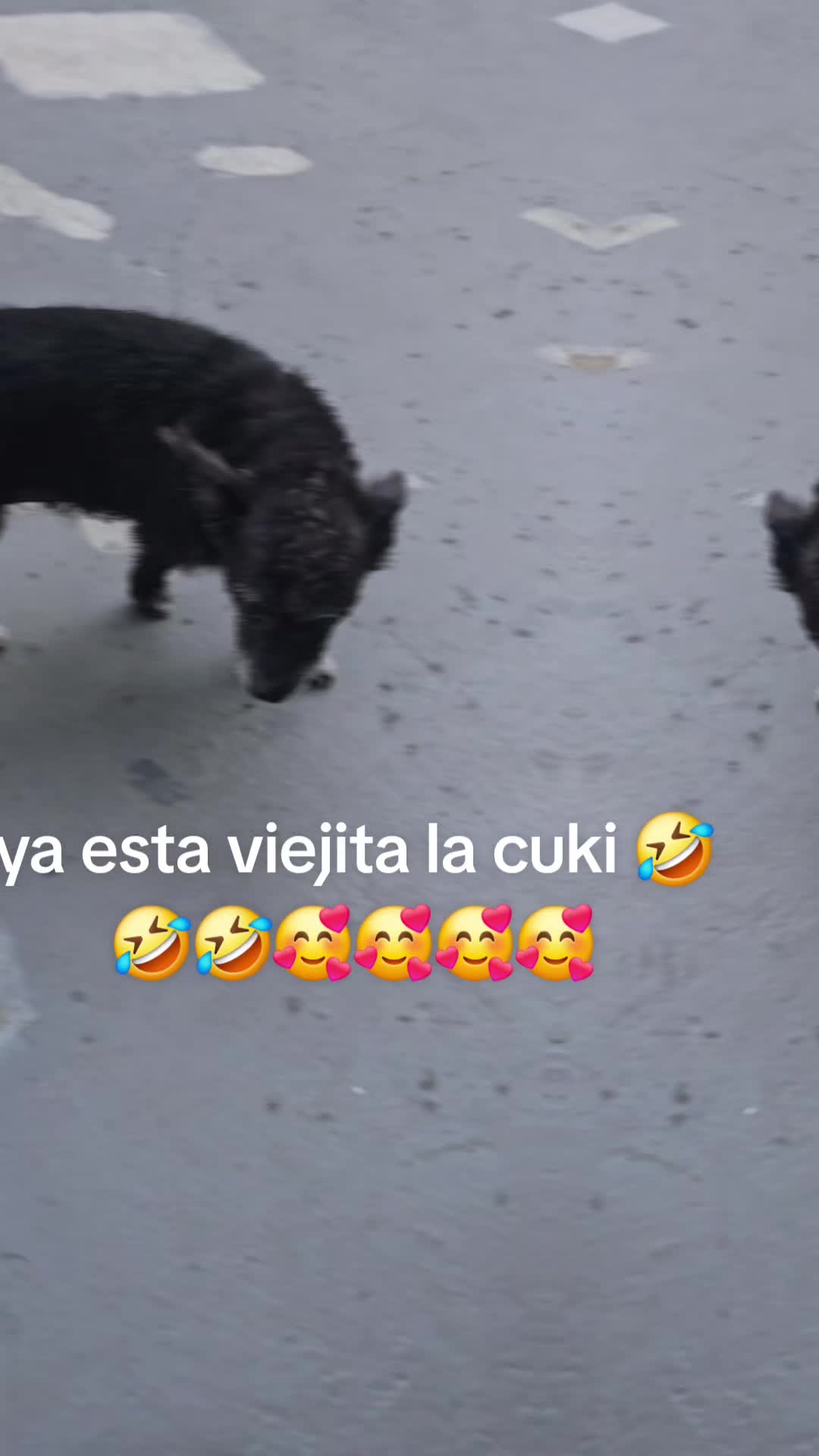 @Fanny Hernandez