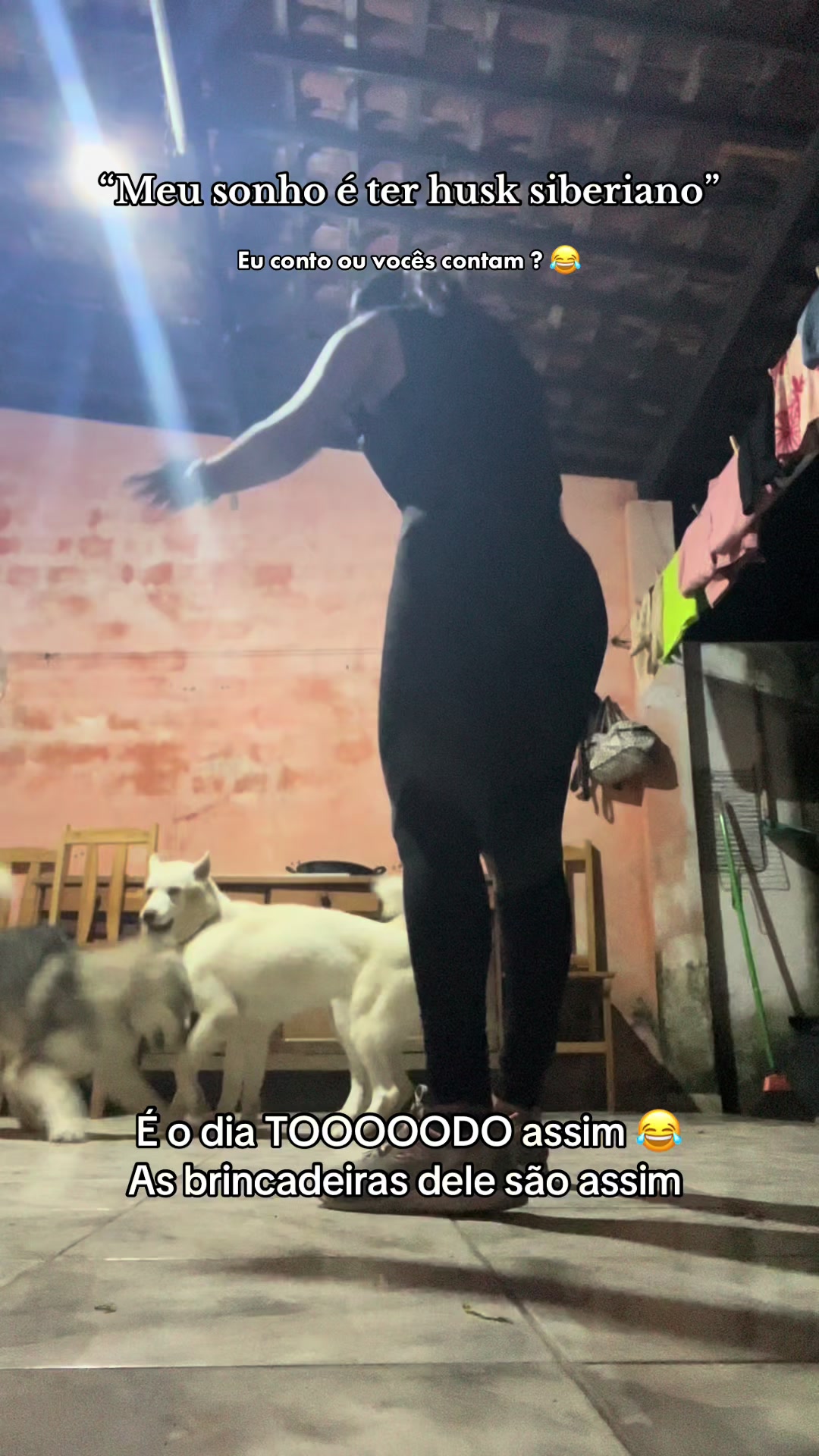 @yasminsabinno