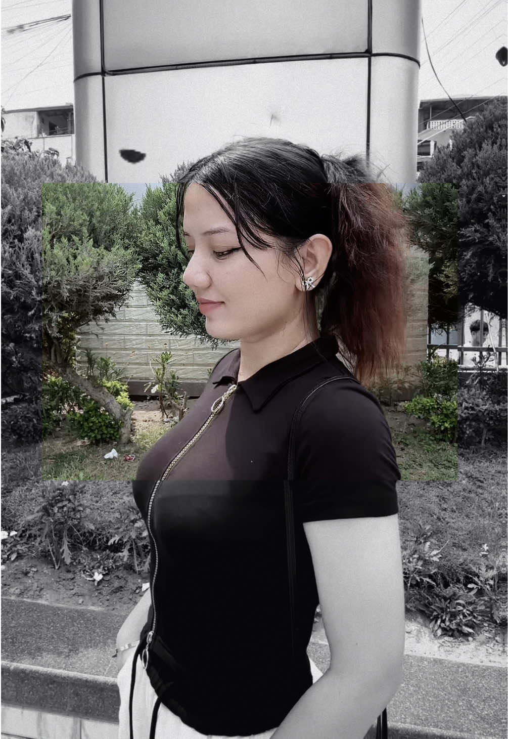 @Shilviya Kc 🌷🦢