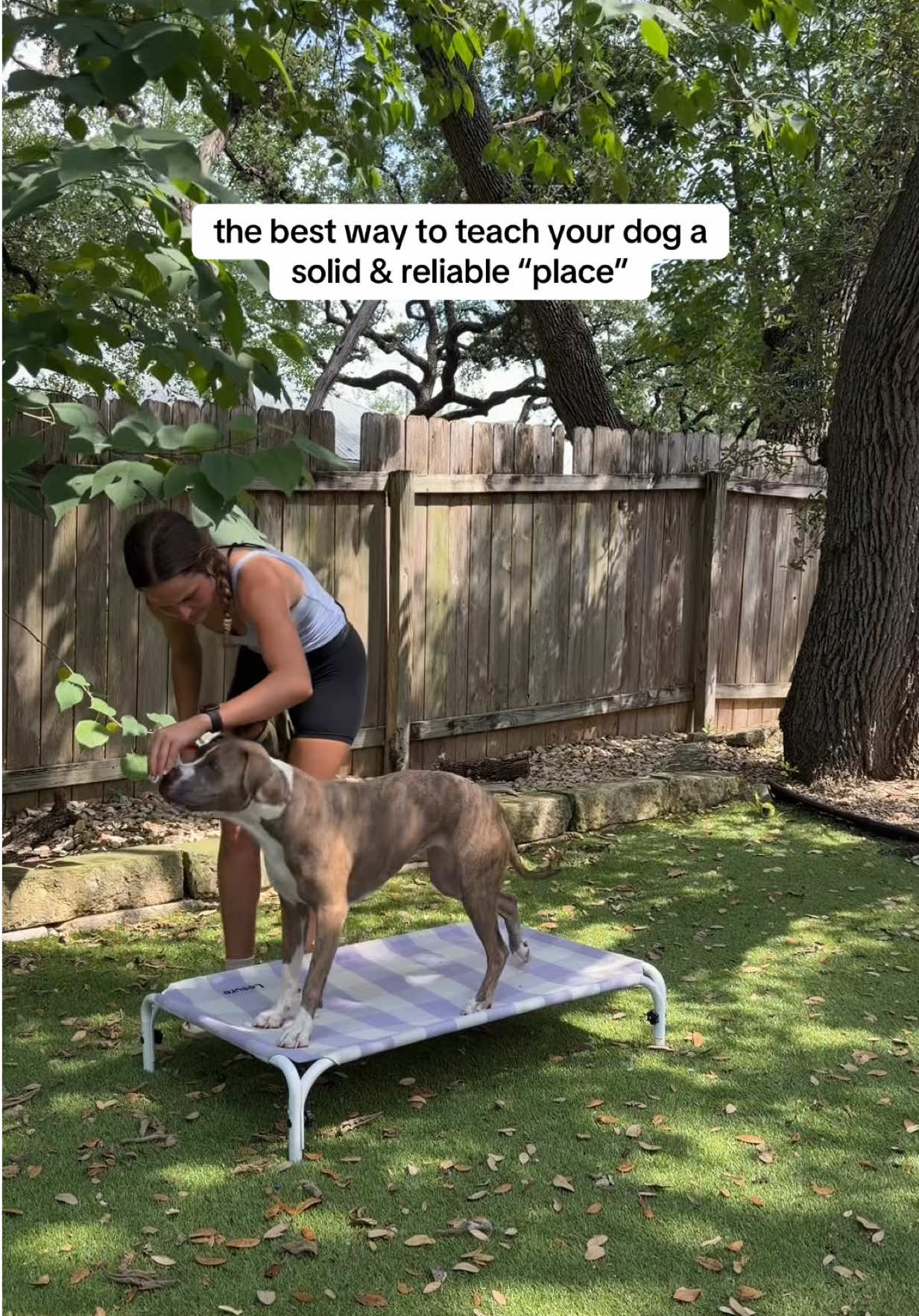 @Abby KPA-CTP | Dog Trainer