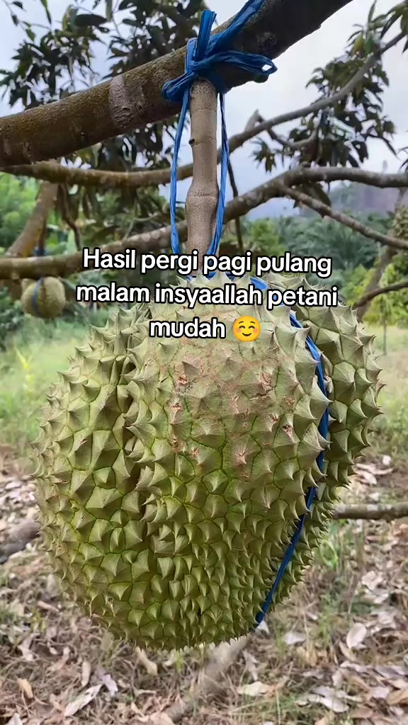 @Ky.R🅰️