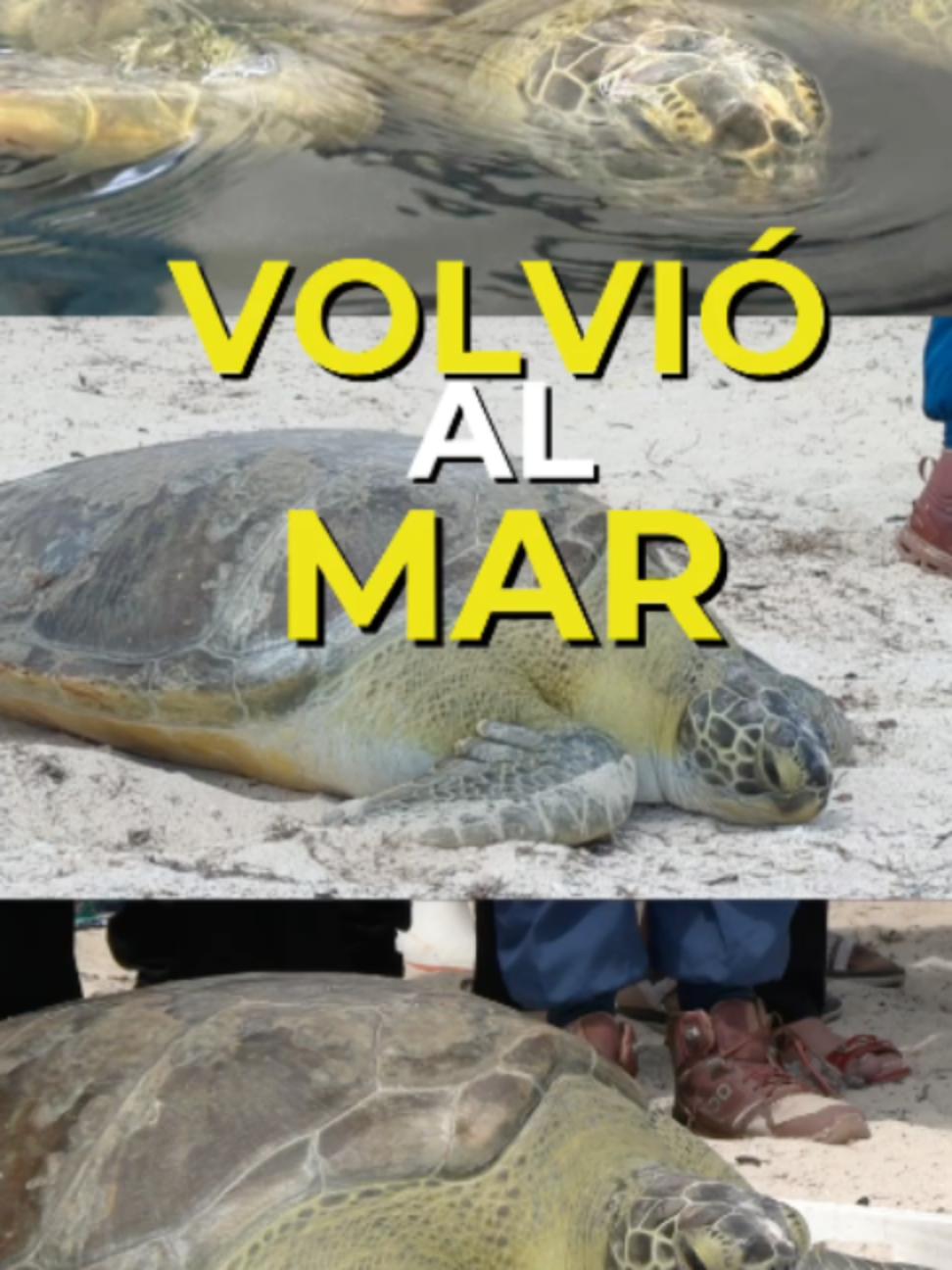 @Con Acento