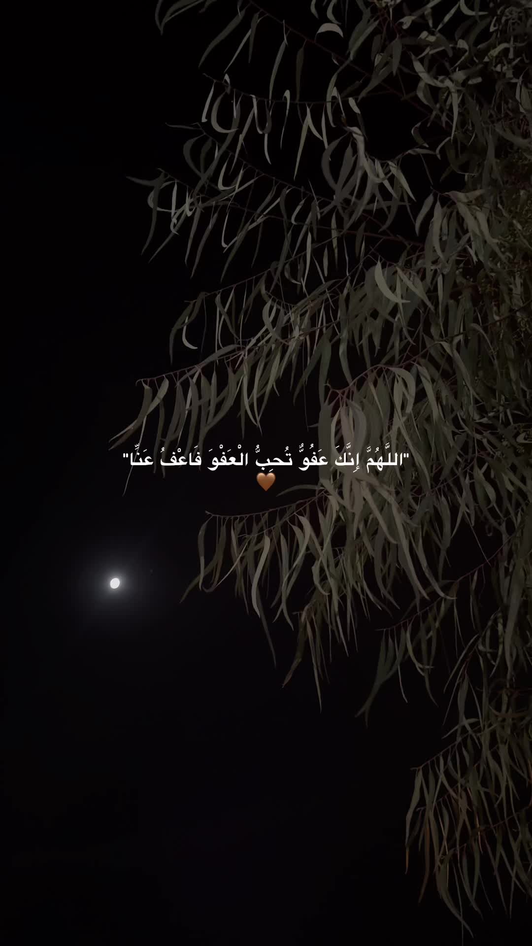 @♡ 