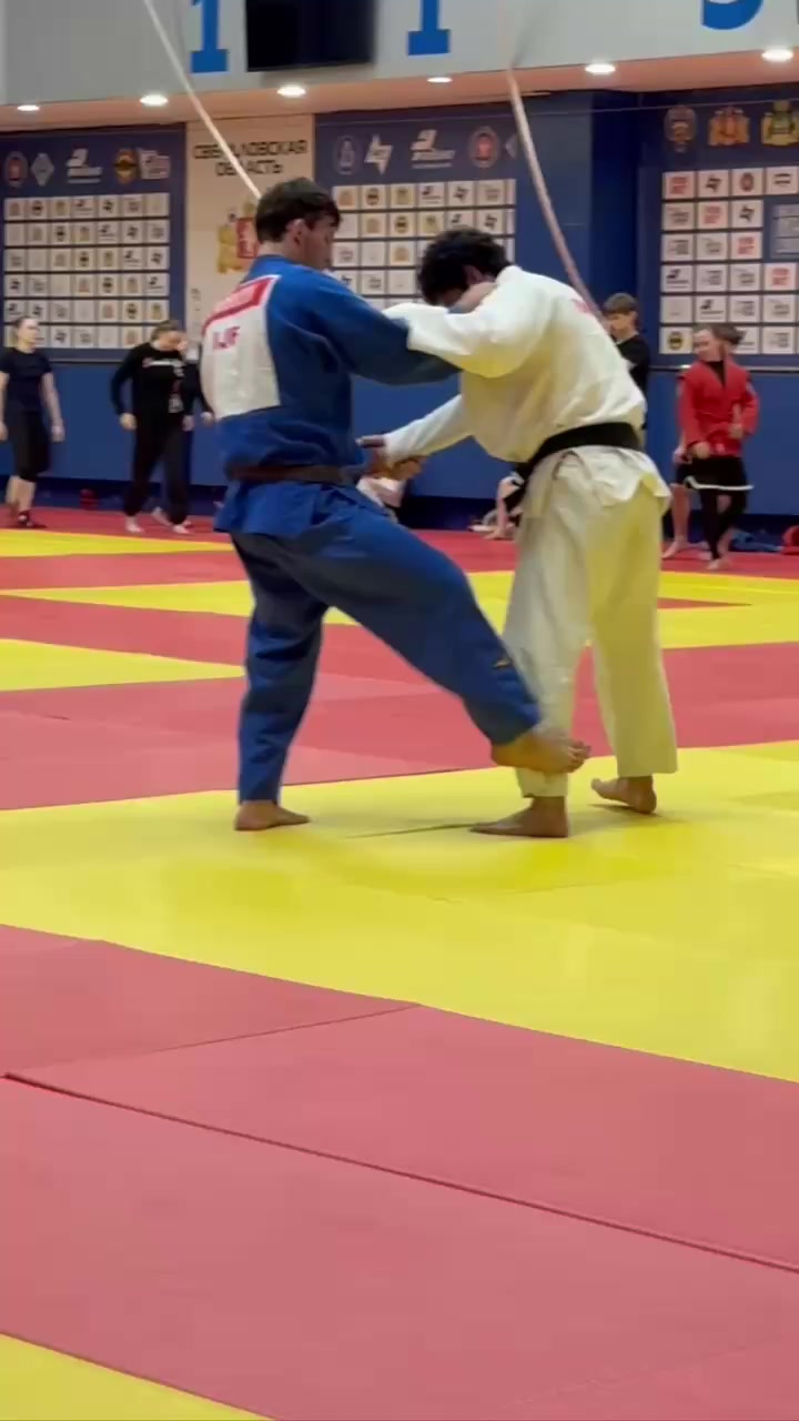 @mir_judo