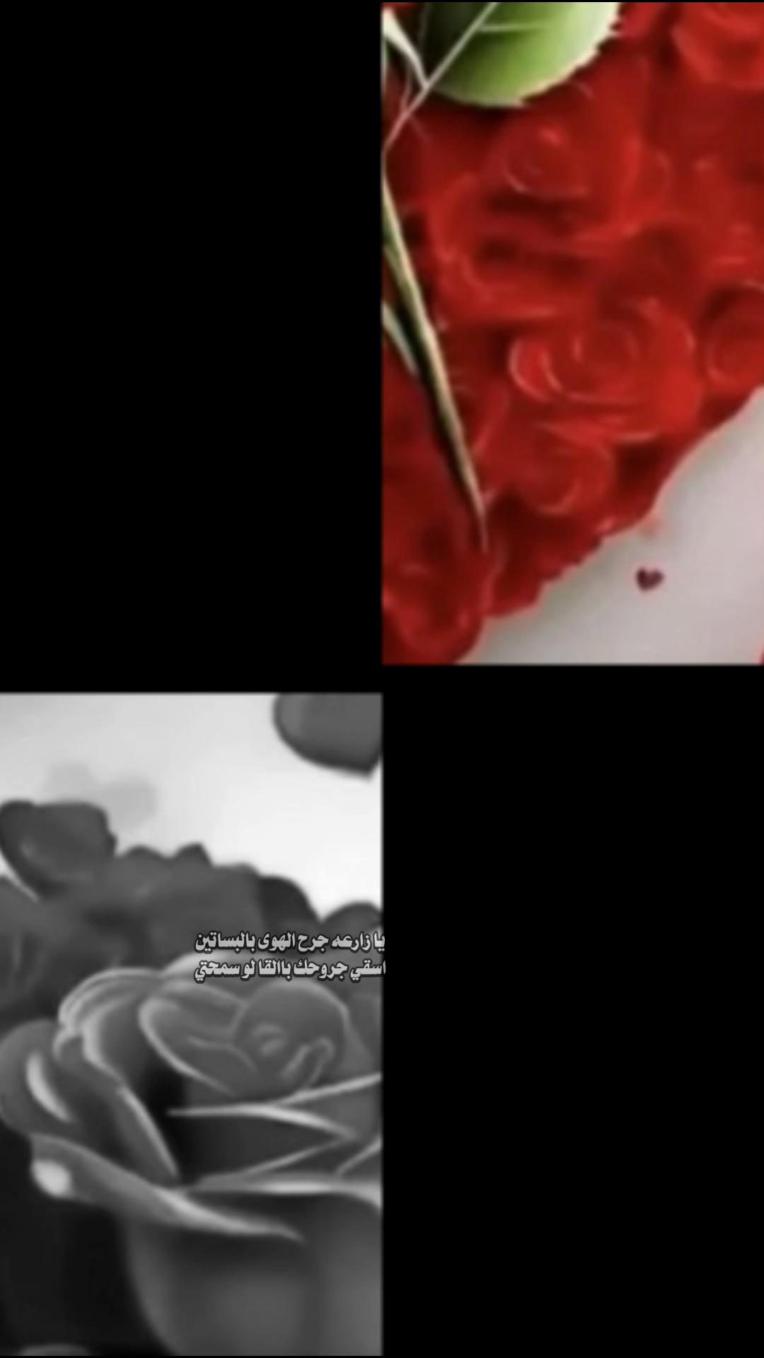 @ا꙰لـــــــ🇾🇪ـج☬👑ـوار🦅ح