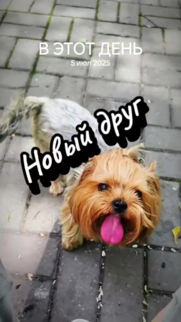 @✨Сибирский мужик ✨