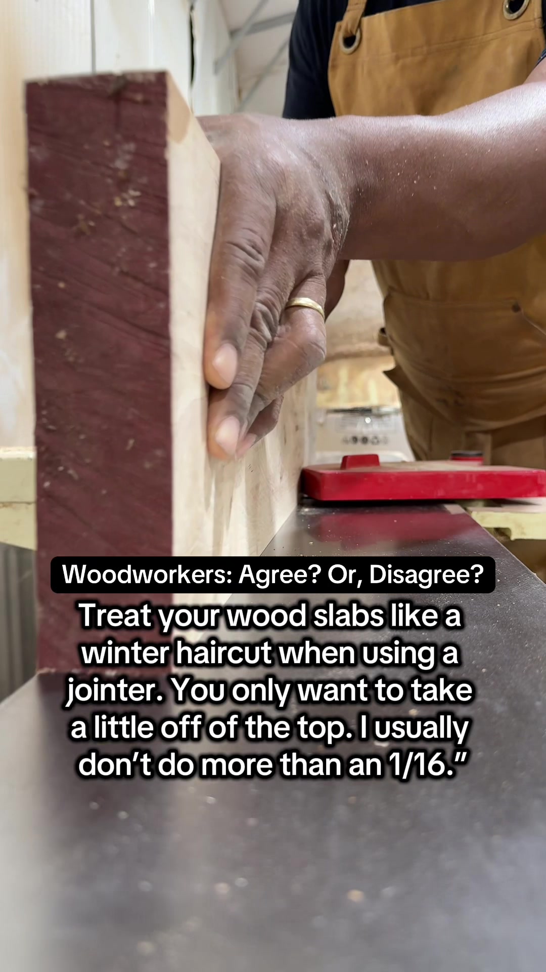 @Carpenter Ant
