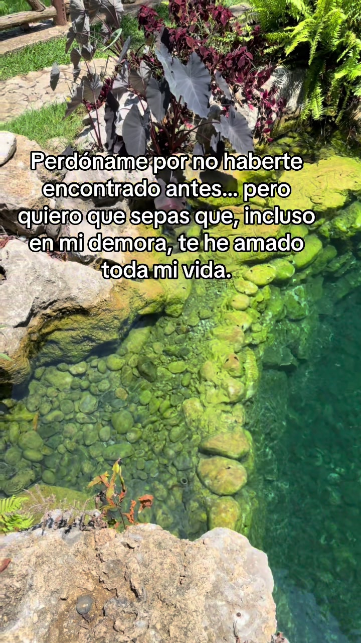 @Zulema AlMa