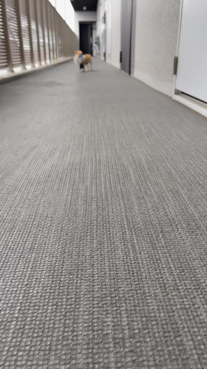 @大将