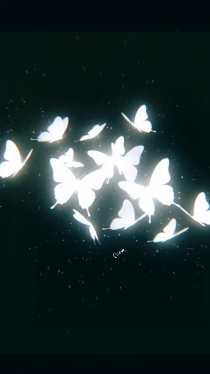 @𝑨𝒚𝒆𝒔𝒉𝒂 𝑺𝒊𝒅𝒅𝒊𝒒𝒖𝒆