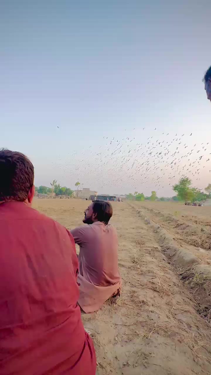 @عدیل رحمن لیہ وال کبوتر باز