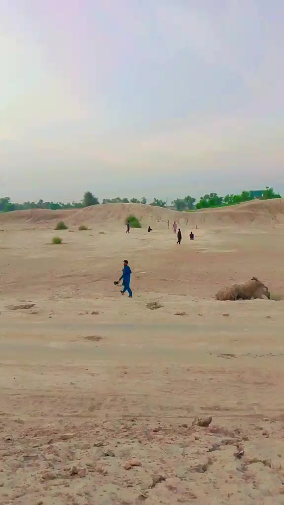 @sanwal