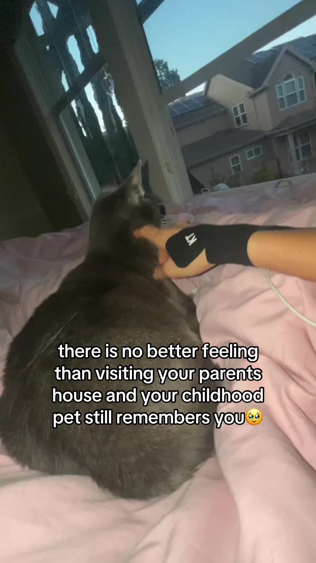 @arden alexa