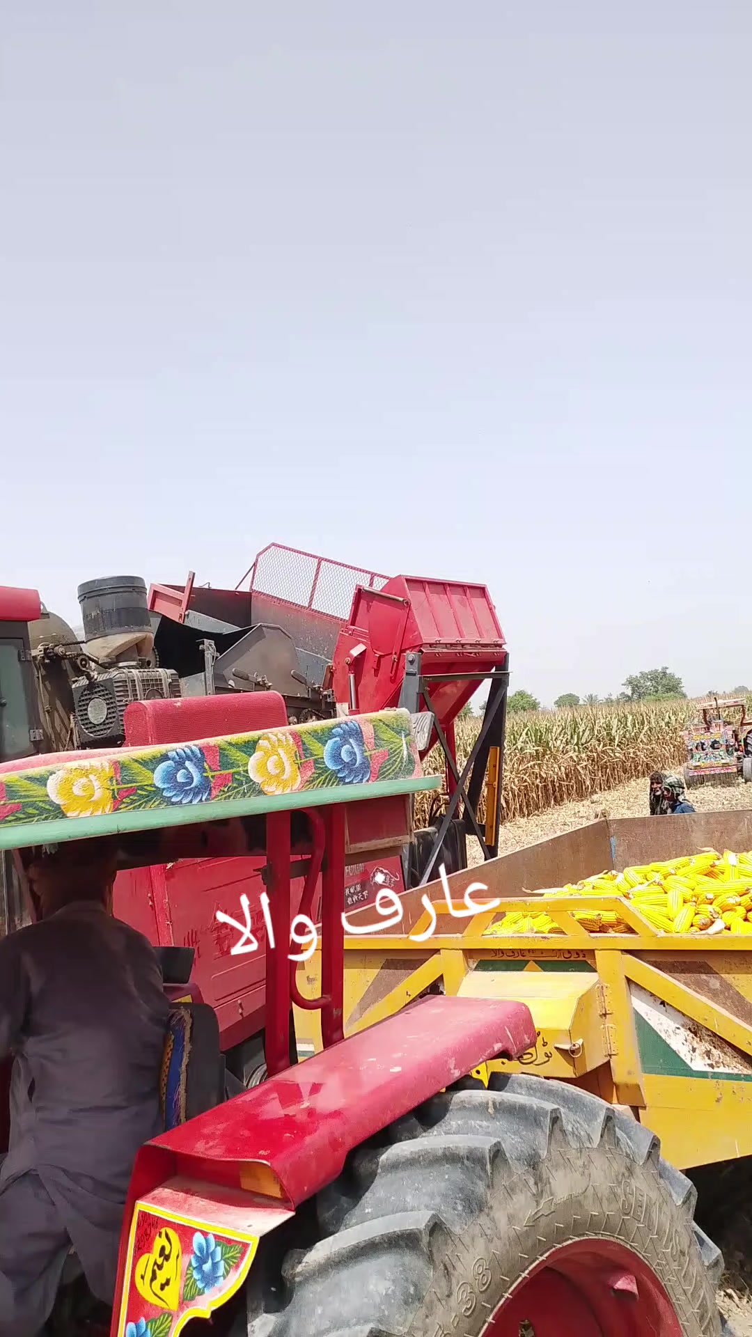 @💚 ذیشان ہنجرا 💚