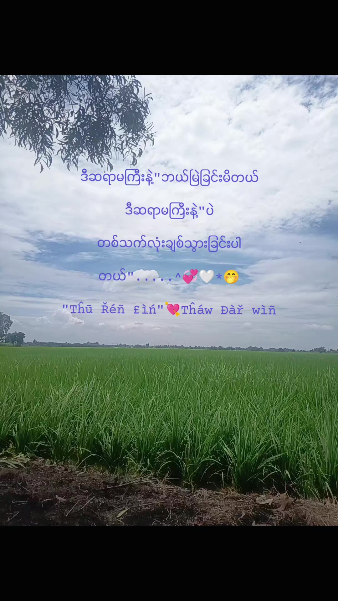 @Țĥū Řêìñ £in🇹🇭🥰🇰🇷