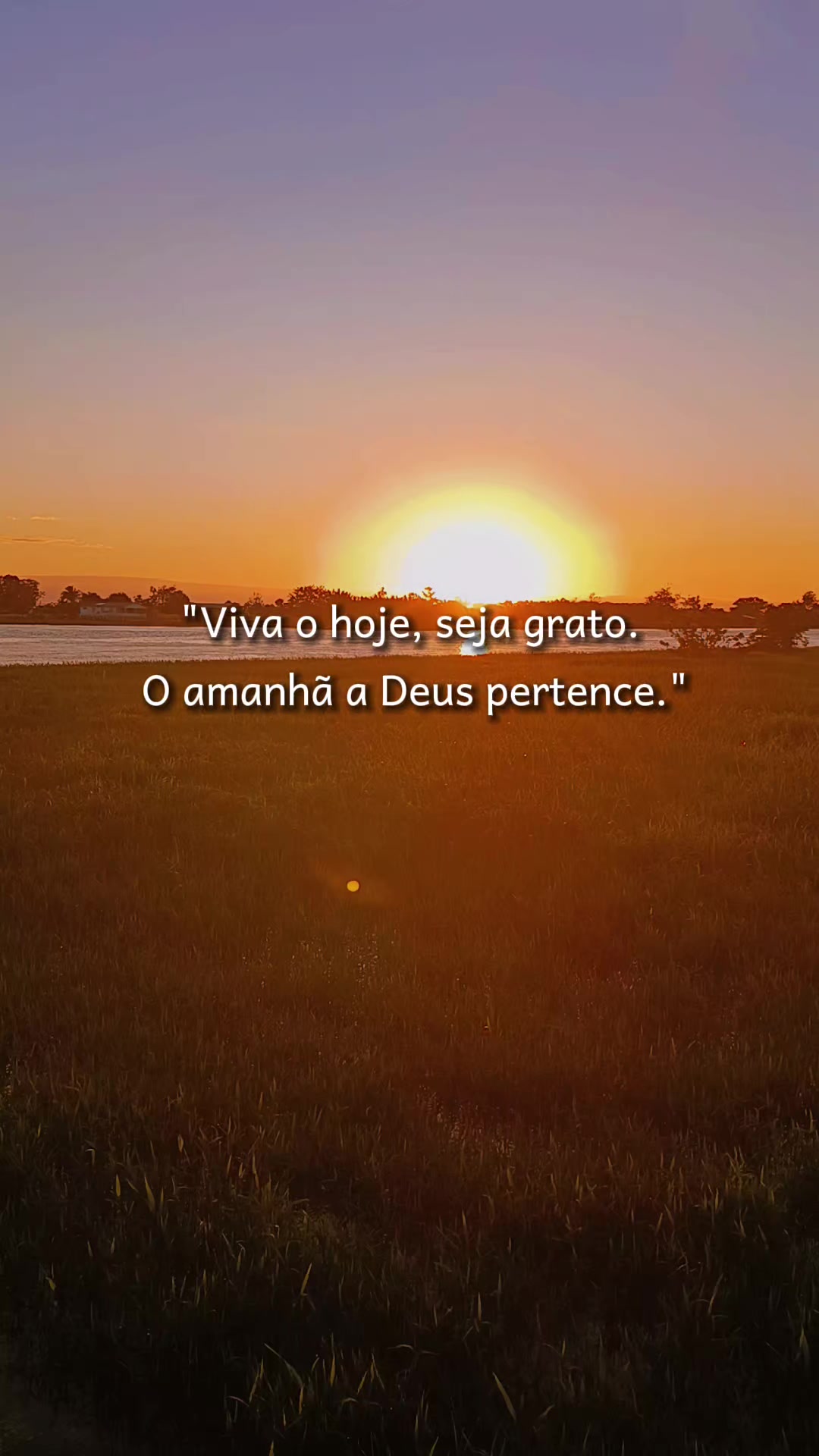 @Cativo oficial03