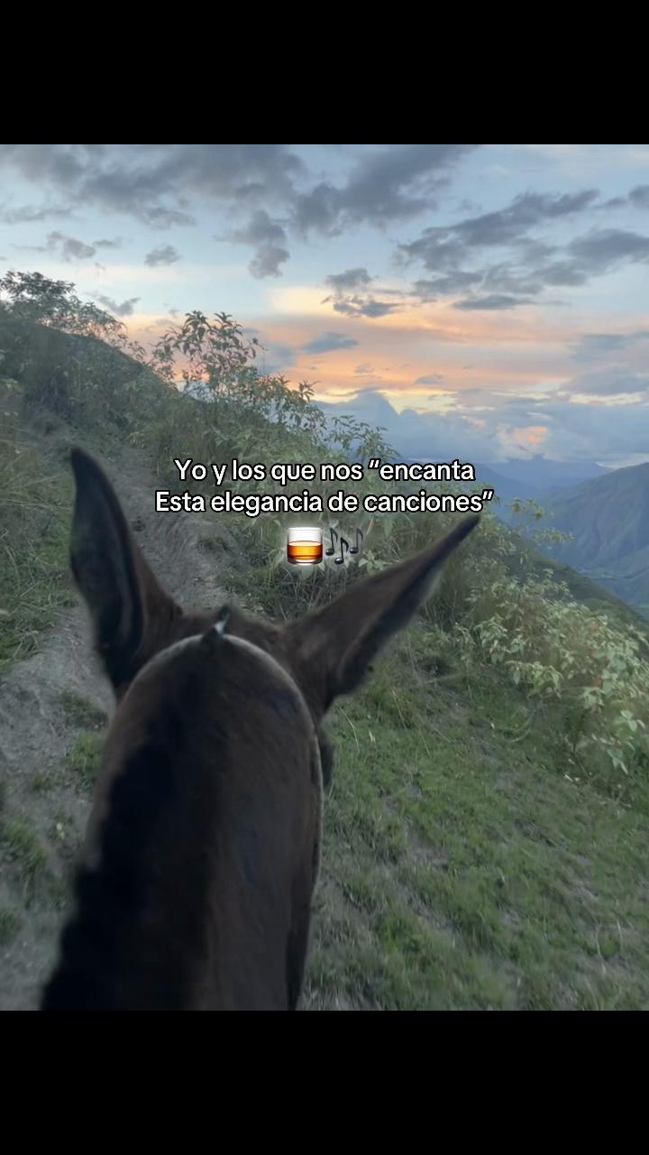 @彡[ʀᴏʟɪᴛᴀꜱ ツ࿐