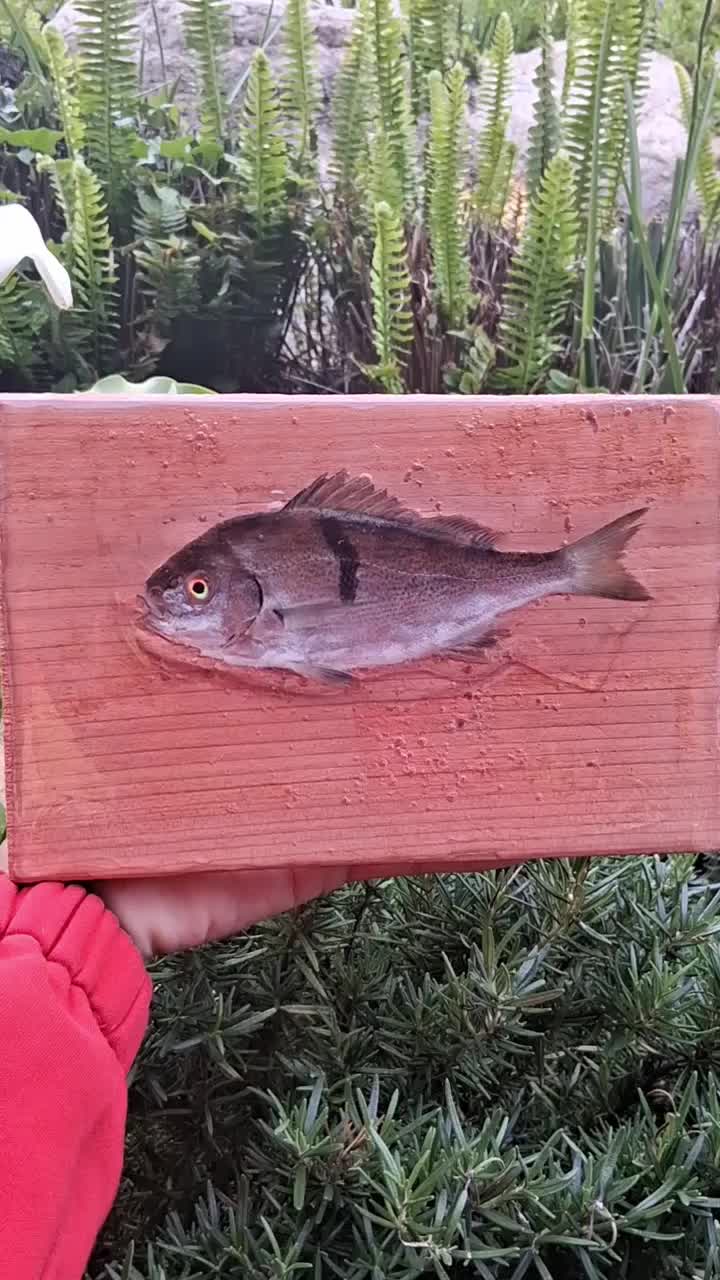 @Fish Skin Lures