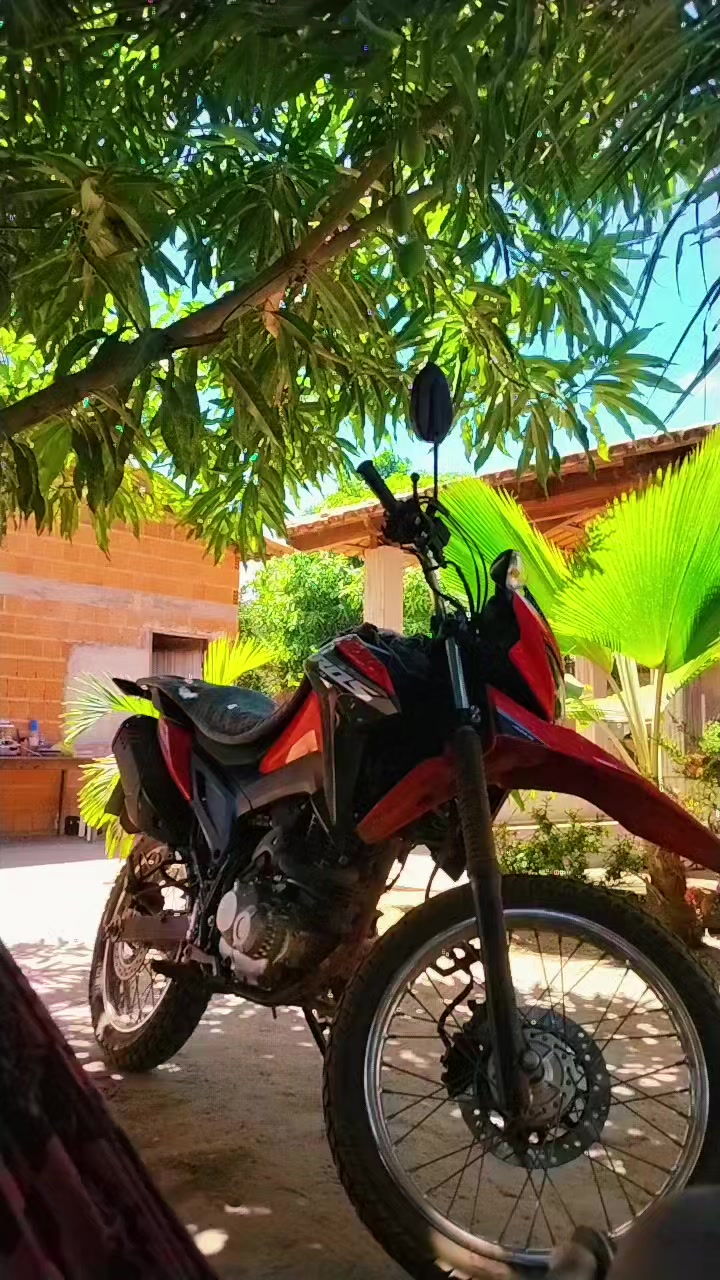@Gil Ferreira Silva