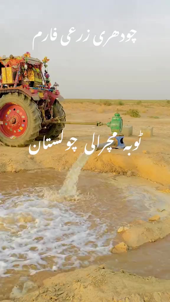 @M  Afzal Solgi 83