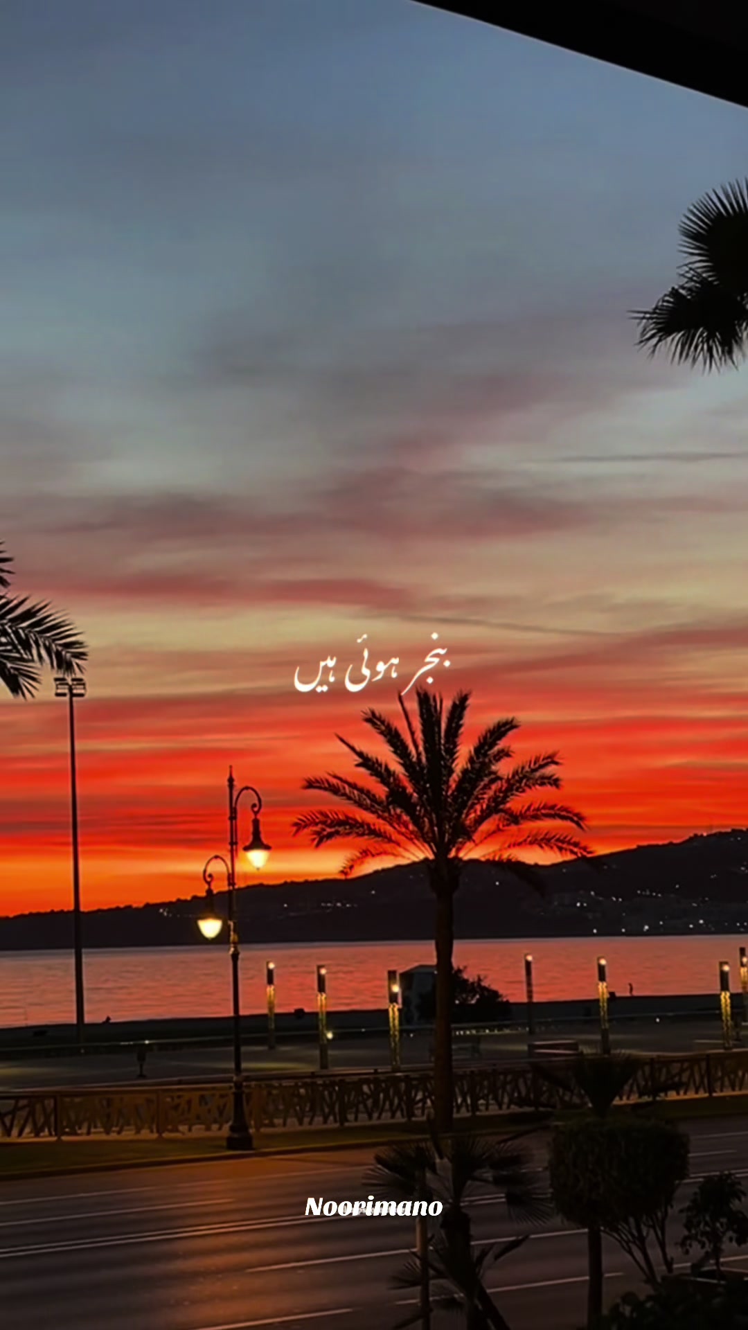 @Fatima Bilal