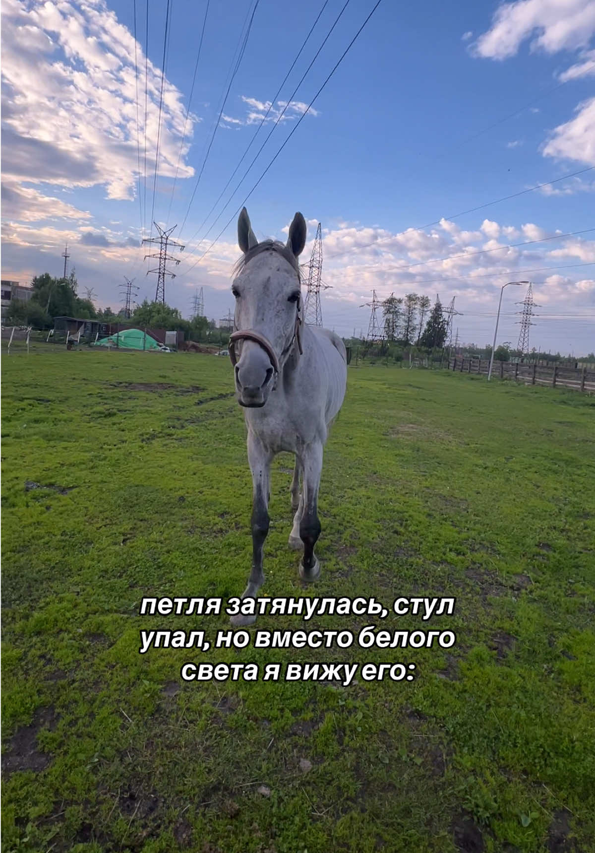 @тгк: JENJUMP