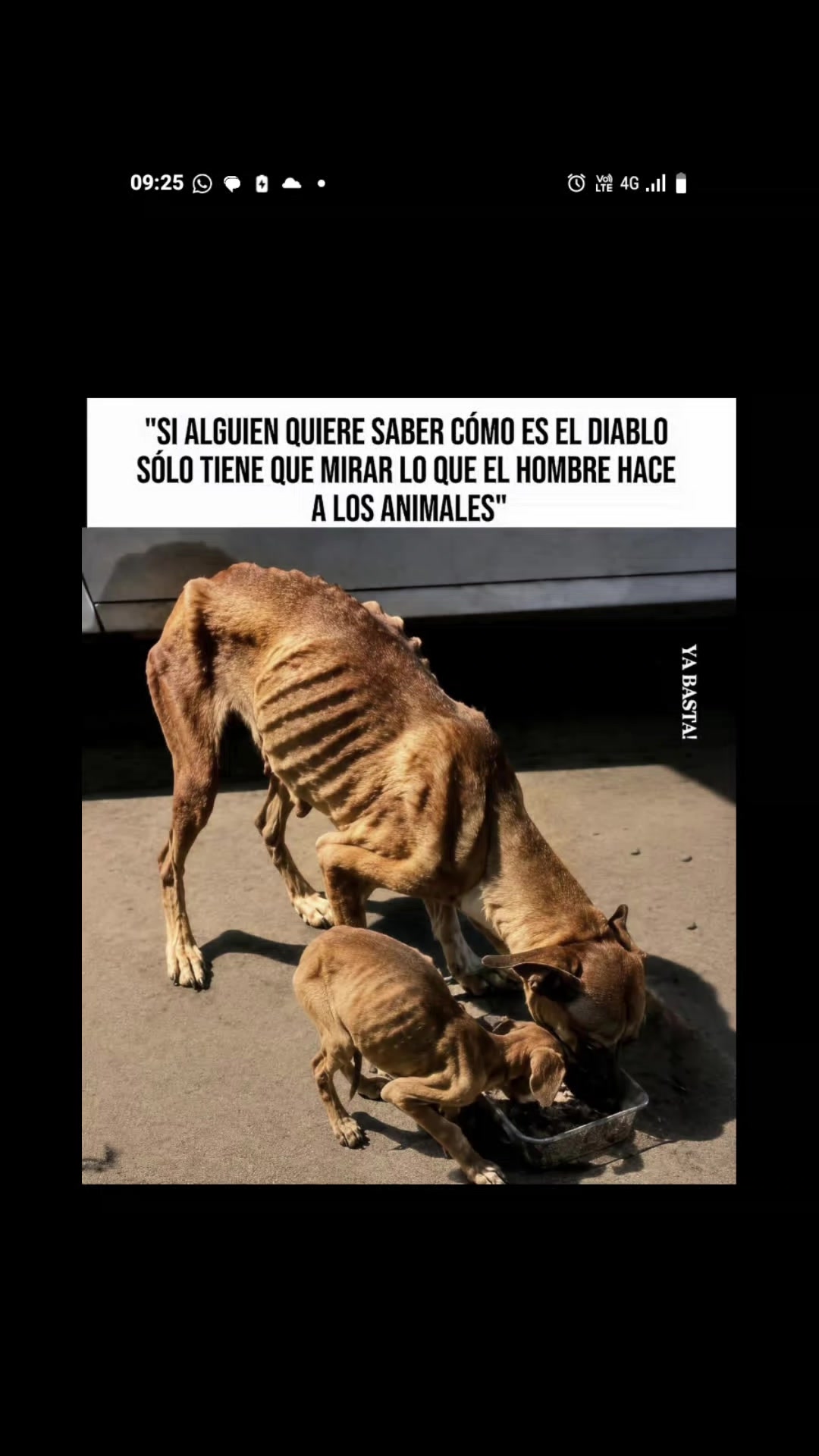 @Adolfo Rafael Astudi